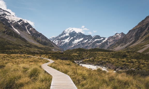 Redefining environmental stewardship in NZ